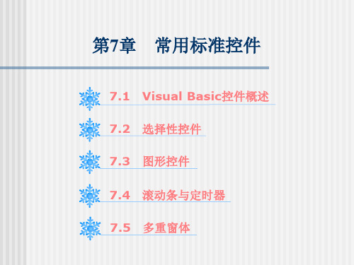 第7章  常用标准控件