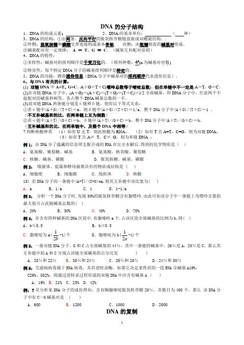 新组：DNA的复制、转录、翻译