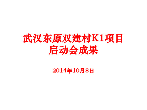 一线地产项目定位会项目总体情况及投资模型