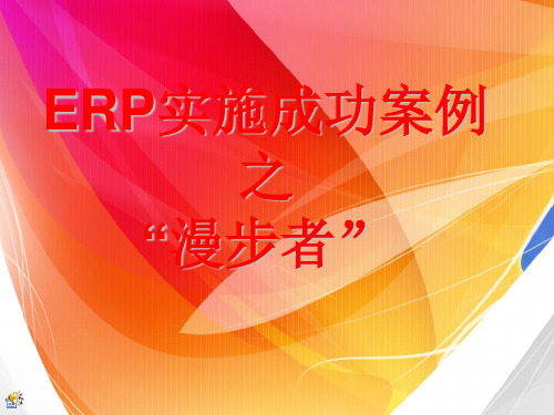 ERP实施成功案例解析