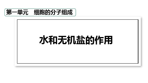 2023届高三生物一轮复习课件：水和无机盐的作用