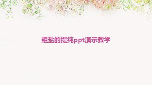 粗盐的提纯ppt演示教学