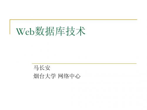 Web数据库技术