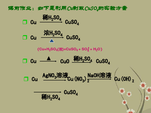 陕西省西安市中考化学 实验方案的设计与评价课件