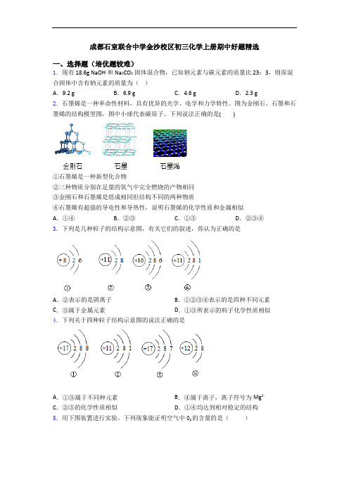 成都石室联合中学金沙校区初三初三化学上册期中好题精选