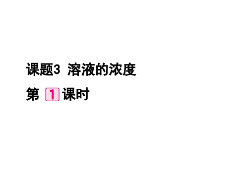 【人教版】初中九年级下册化学：《溶液的浓度()》教材全解ppt课件