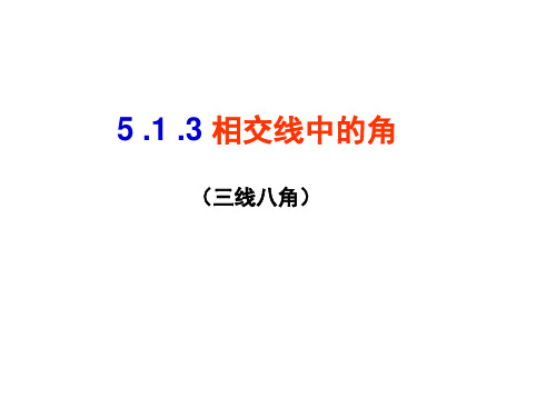 人教版初中数学 三线八角(内错角 同位角 同旁内角)