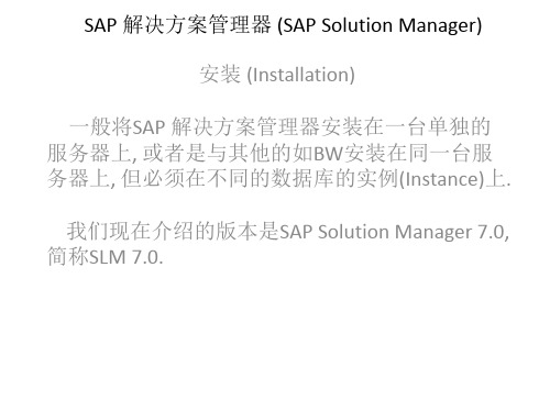 SAP 解决方案管理器 (SAP Solution Manager ) presentation