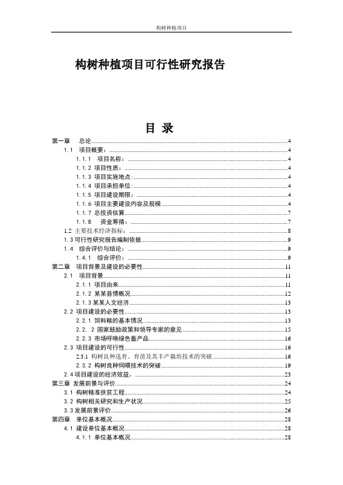 构树种植项目可行性研究报告