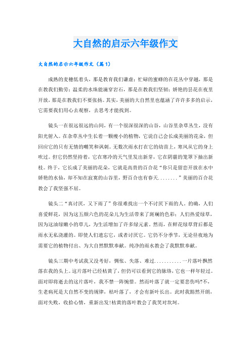 大自然的启示六年级作文