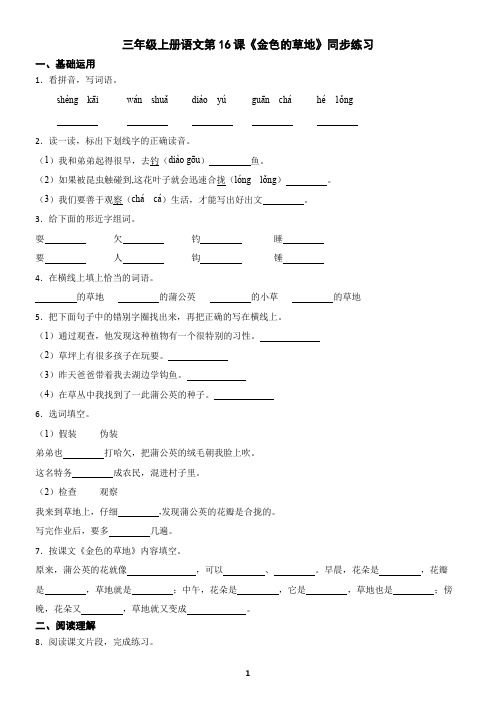 三年级上册语文第16课《金色的草地》同步练习(含答案)
