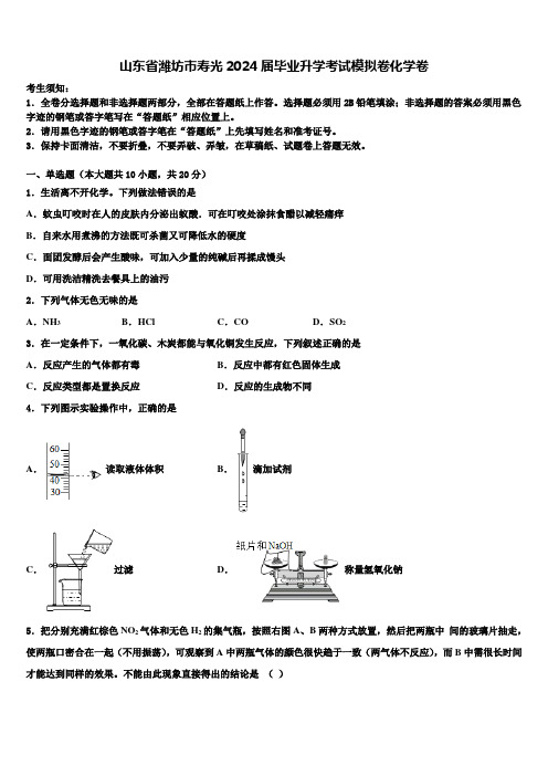 山东省潍坊市寿光2024届毕业升学考试模拟卷化学卷含解析