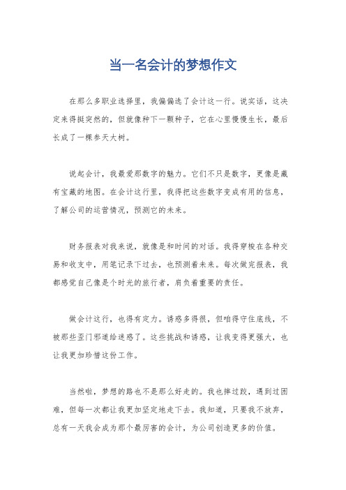 当一名会计的梦想作文