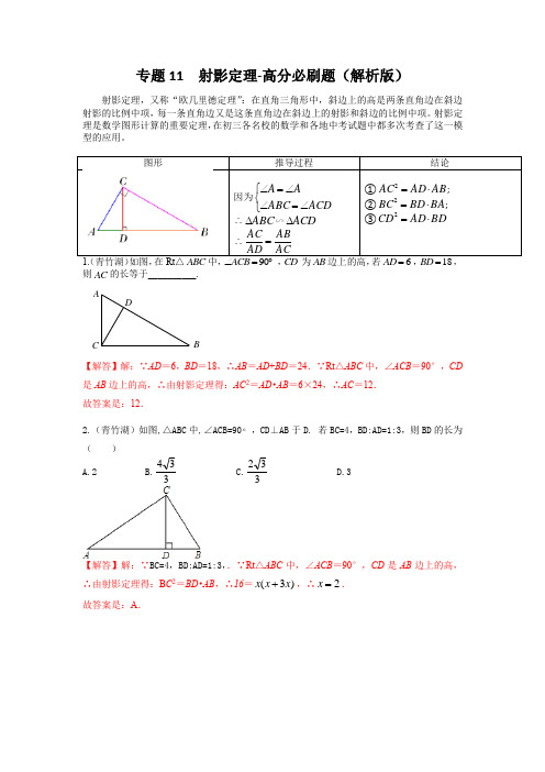 专题11 射影定理——高分必刷题(解析版)-初中数学上学期重难点题型分类高分必刷题(人教版)