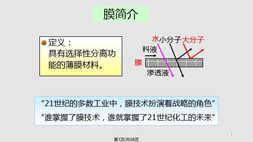 智能高分子膜PPT课件