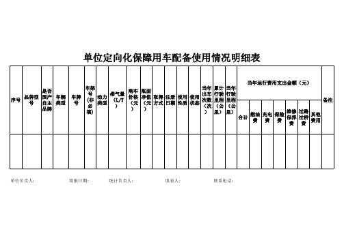 单位定向化保障用车配备使用情况明细表