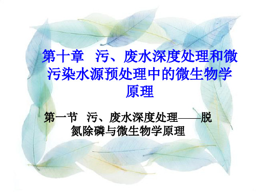 第十章   污、废水深度处理和微污染水源预处理中的微生物学原理..