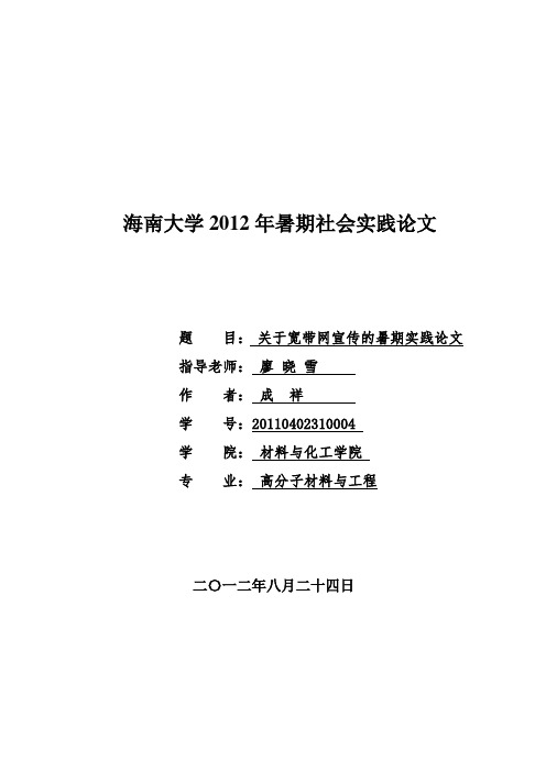 海南大学2012年暑期社会实践论文