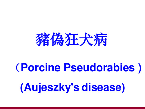 猪伪狂犬病课件