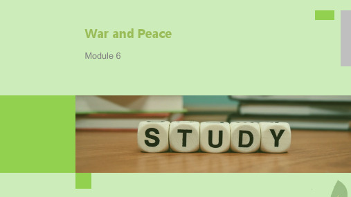 2021_2022学年高中英语Module6WarandPeacePeriodFour课件外研版选修