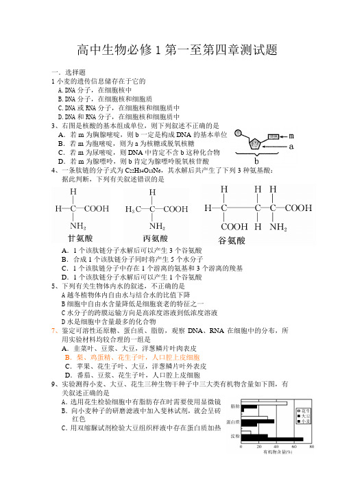 高中生物必修1第一至第四章测试题