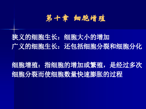 细胞周期同步化概念