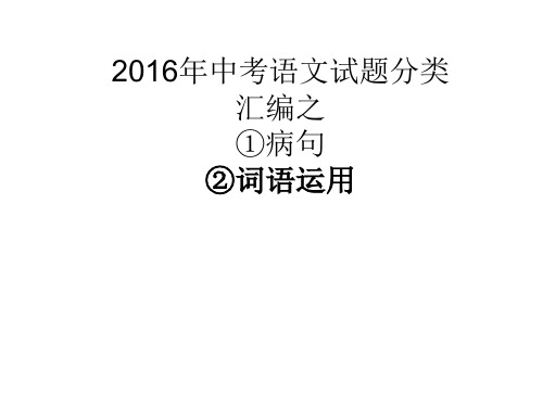 2016中考语文病句词语运用