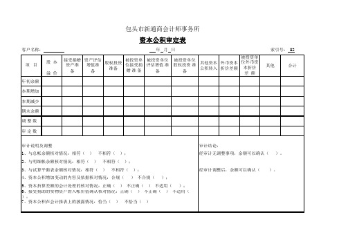 审计工作底稿(模板)