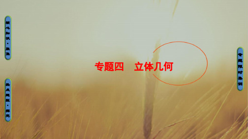 2018高考数学浙江专版二轮复习与策略课件 专题8 空间几何体表面积或体积的求解 精品
