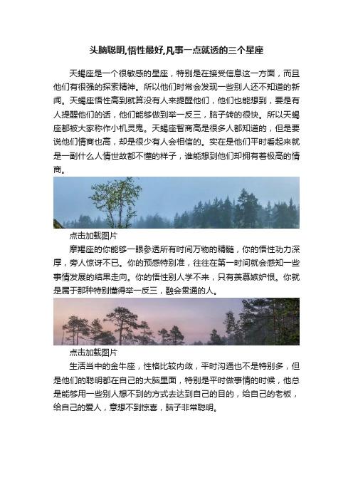 头脑聪明,悟性最好,凡事一点就透的三个星座