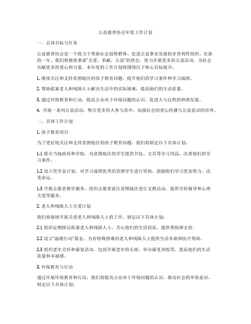 公益慈善协会年度工作计划