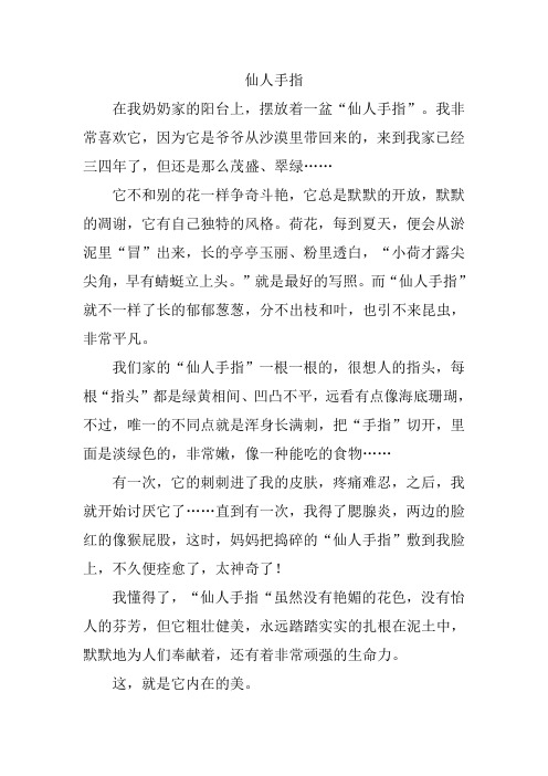 仙人手指