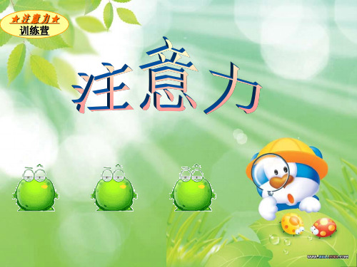 注意力心理健康PPT