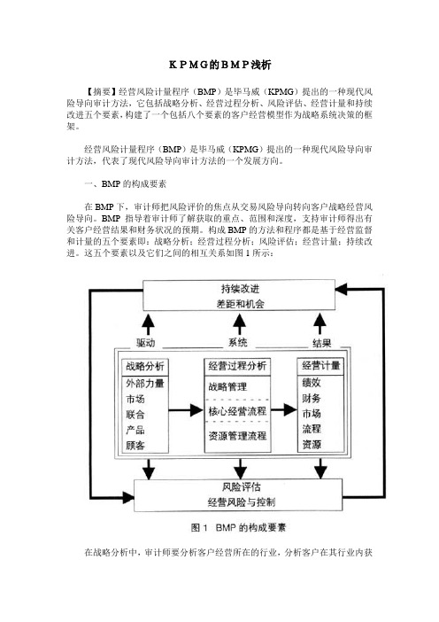 KPMG的BMP浅析