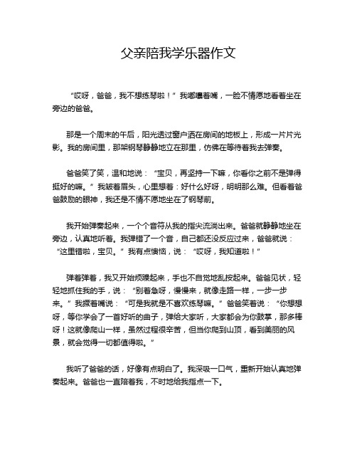 父亲陪我学乐器作文