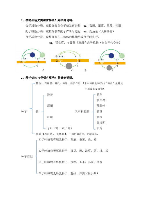 植物学期中复习题