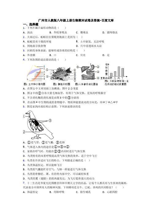 广州市人教版八年级上册生物期末试卷及答案-百度文库