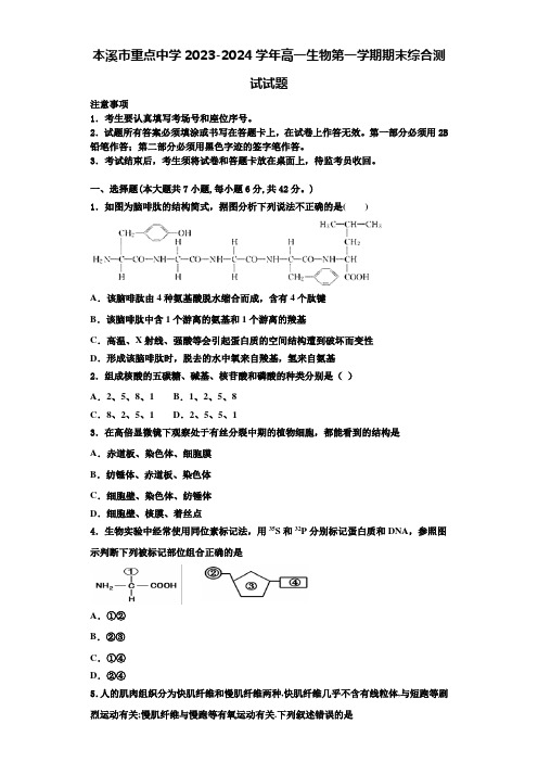 本溪市重点中学2023-2024学年高一生物第一学期期末综合测试试题含解析