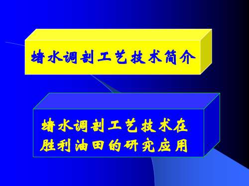 堵水调剖工艺技术