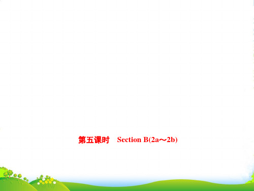 人教版九年级英语Unit 8 Section B(2a～2b)课件