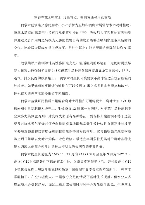 家庭养花之鸭掌木习性特点、养殖方法和注意事项