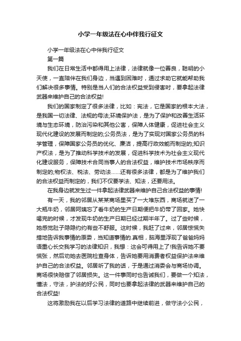 小学一年级法在心中伴我行征文