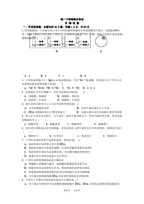 高一下学期期末考试生物试题 Word版含答案