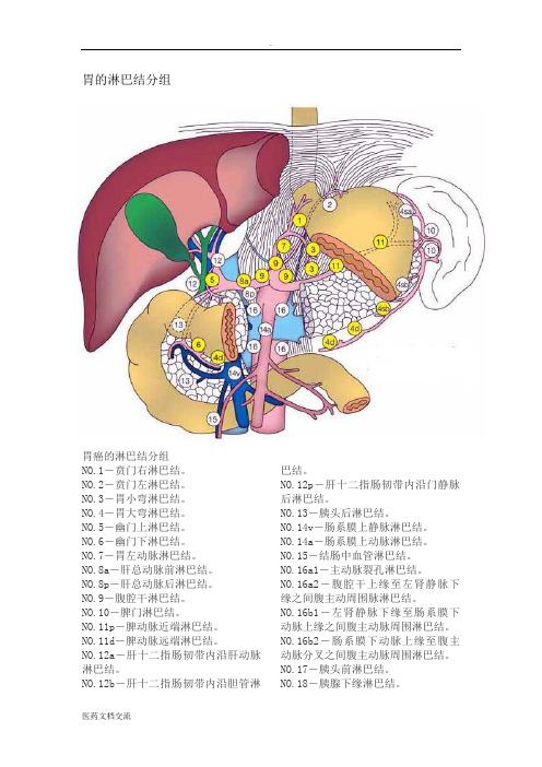 胃的淋巴结分组