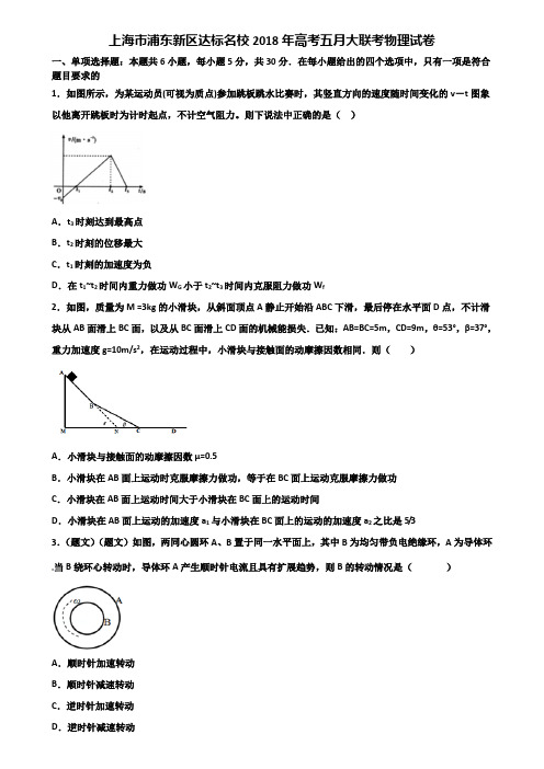 上海市浦东新区达标名校2018年高考五月大联考物理试卷含解析.doc