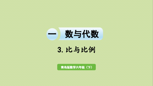 青岛版六年级数学下册 总复习一  数与代数 4