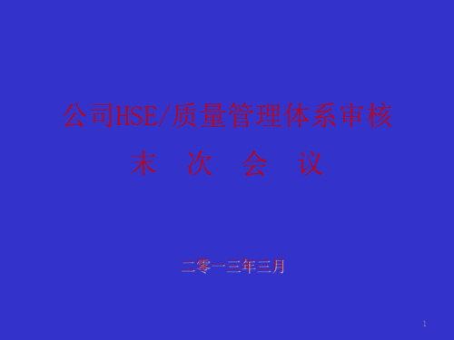 公司上半年HSE审核报告