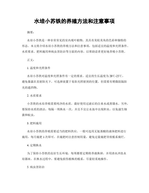 水培小苏铁的养殖方法和注意事项