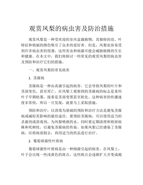 观赏凤梨的病虫害及防治措施