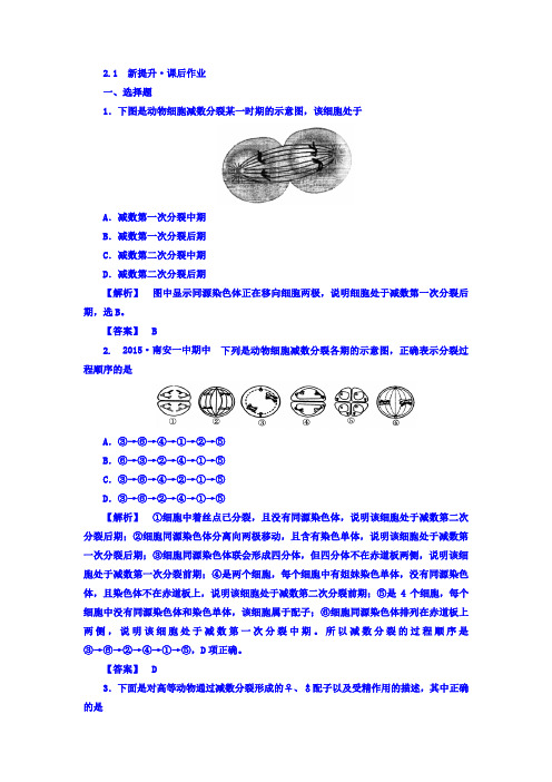 江苏省高一生物人教版必修2 课后作业：2.1《减数分裂和受精作用》 Word版含答案